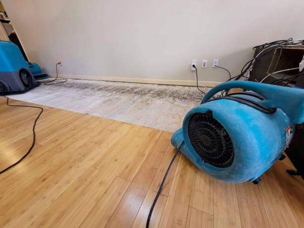 Professional Emergency Water Damage technician working in Quincy, OH